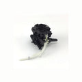 Difusor completo máquina de café Krups MS-623237